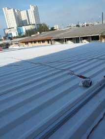 WhatsApp Image 2026-01-06 at 4.45.02 PM